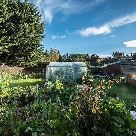Mount Thomas Road B&B Rangiora Bagian luar foto
