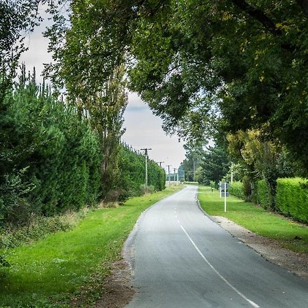 Mount Thomas Road B&B Rangiora Bagian luar foto