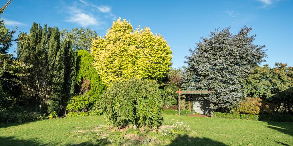 Mount Thomas Road B&B Rangiora Bagian luar foto