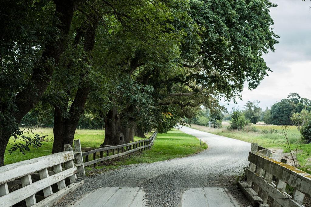 Mount Thomas Road B&B Rangiora Bagian luar foto